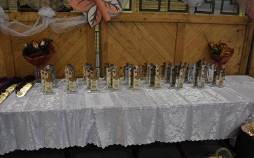 TURNIEJ TAŃCA 2013 077.jpg